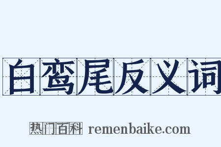 白鸾尾反义词是什么意思的图片